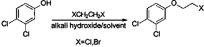 A kind of synthetic technique of increasing production amine