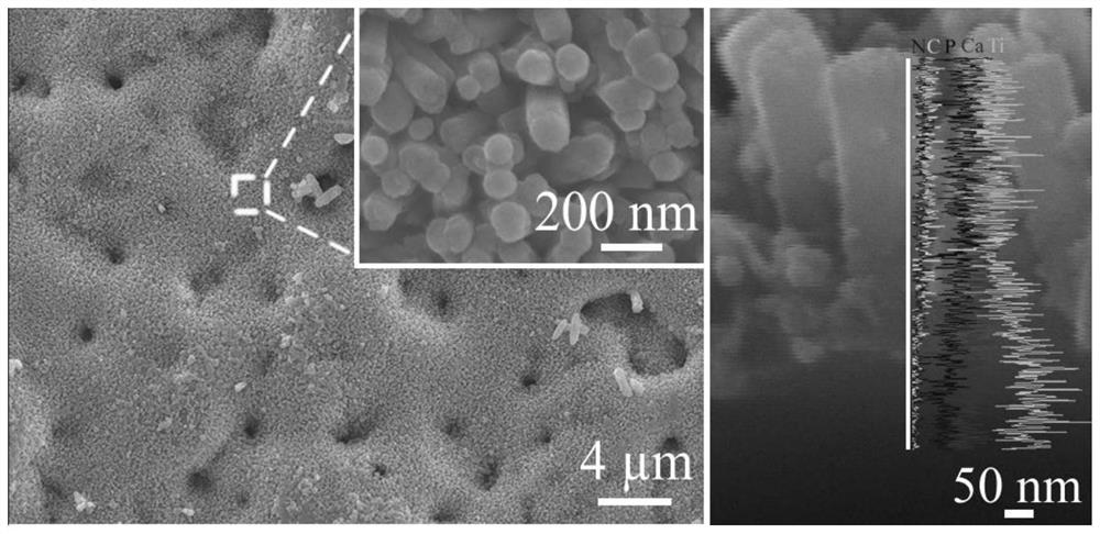 A nanorod array coating with thermal control immunity and anti-oxidation functions, its preparation method and application