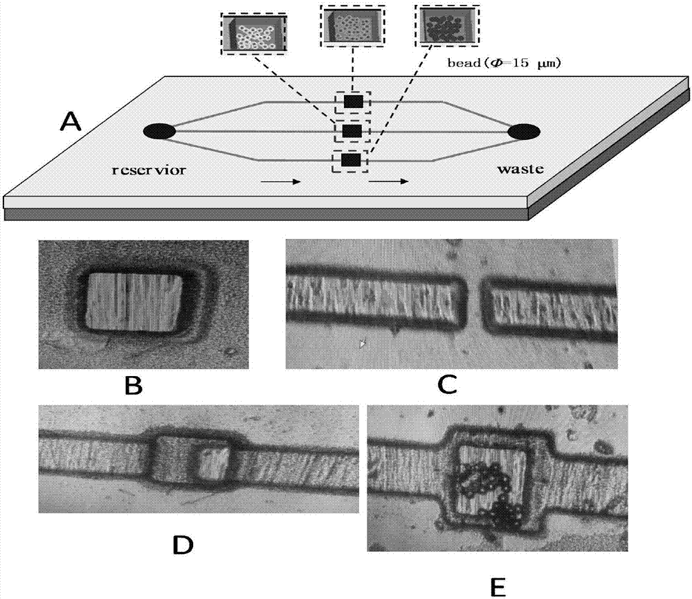 Kit for detecting thrombin based on microfluidic chip and G-four-strobila-protoheme DNA (Deoxyribonucleic Acid) enzyme as well as preparation method and application thereof