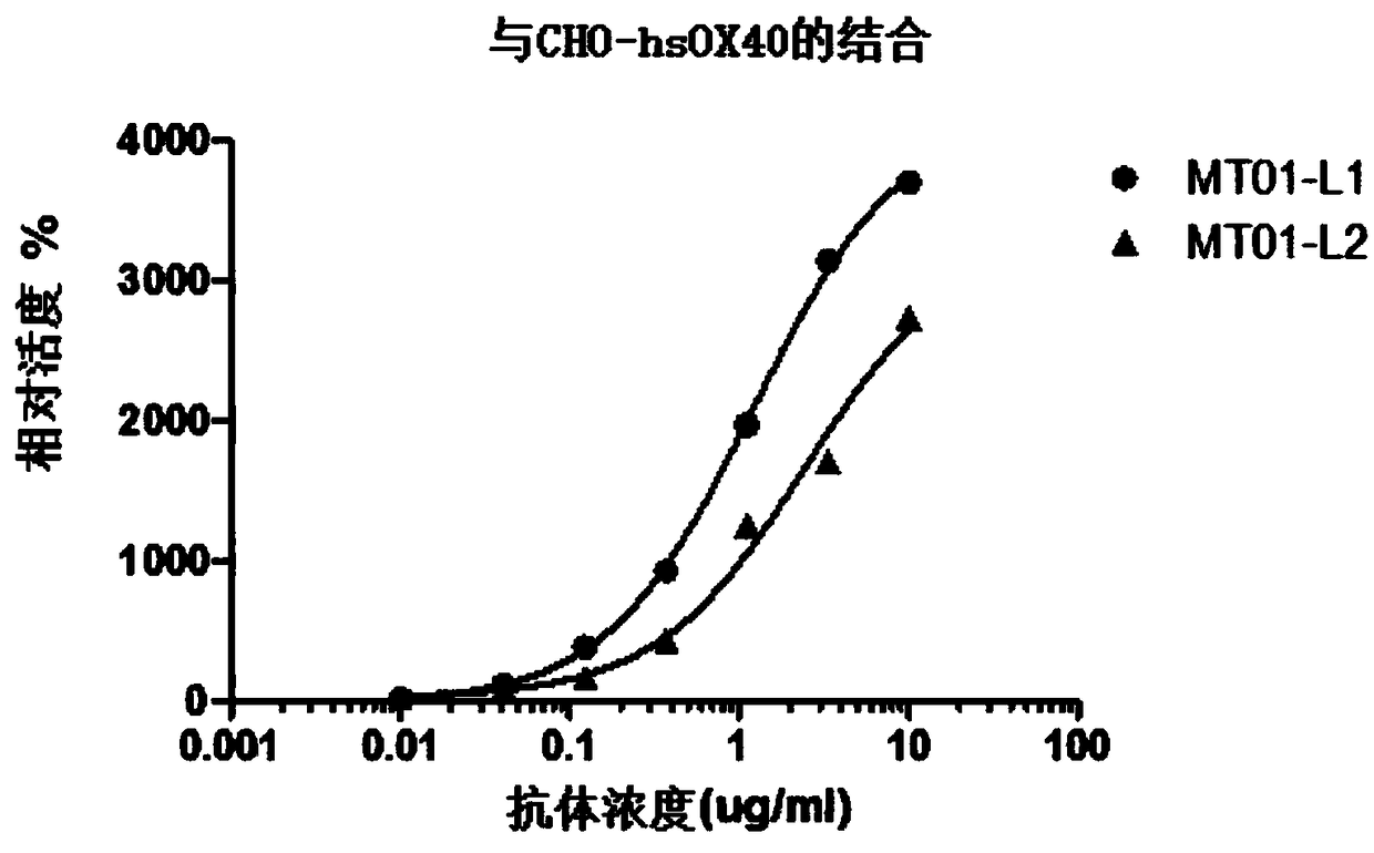 Isolated antibody or antigen-binding fragment thereof and application of isolated antibody or antigen-binding fragment thereof in tumor therapy