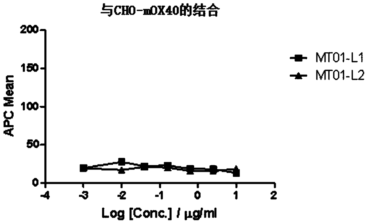 Isolated antibody or antigen-binding fragment thereof and application of isolated antibody or antigen-binding fragment thereof in tumor therapy