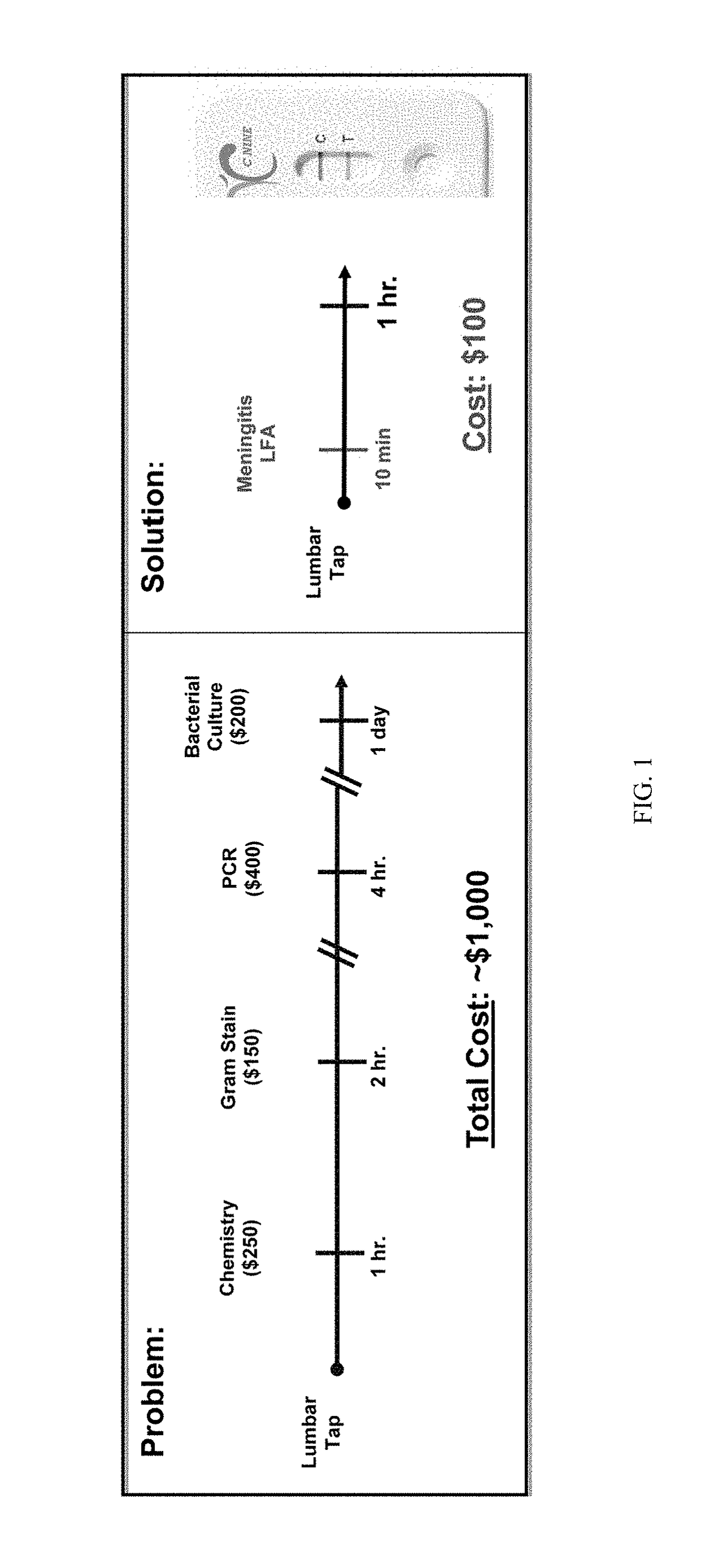 Methods and compositions for diagnosis and treatment of meningitis