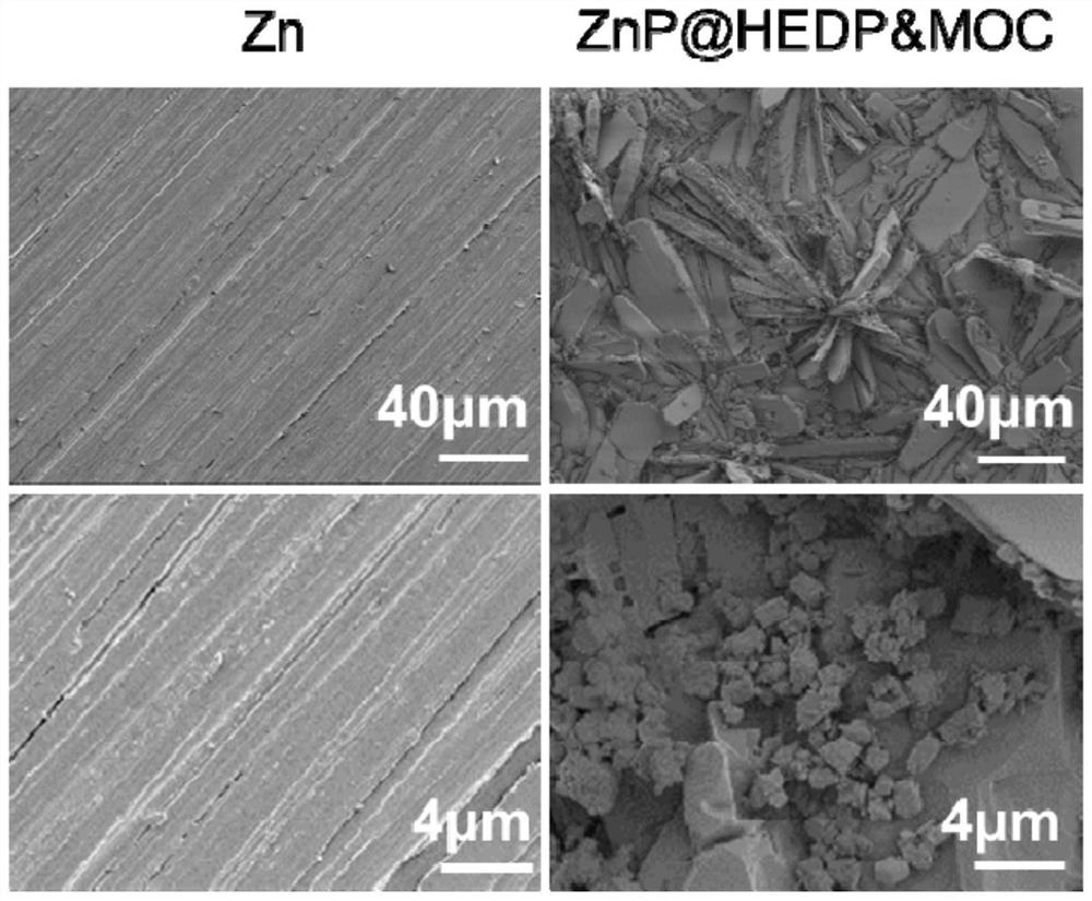 A method for constructing inorganic microflower chimeric metal-organic composite nanocluster modified functional layer on the surface of biodegradable zinc