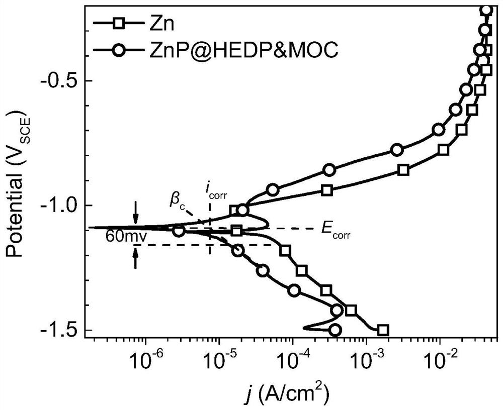 A method for constructing inorganic microflower chimeric metal-organic composite nanocluster modified functional layer on the surface of biodegradable zinc