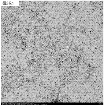 Synthesis method of noble metal nano particles
