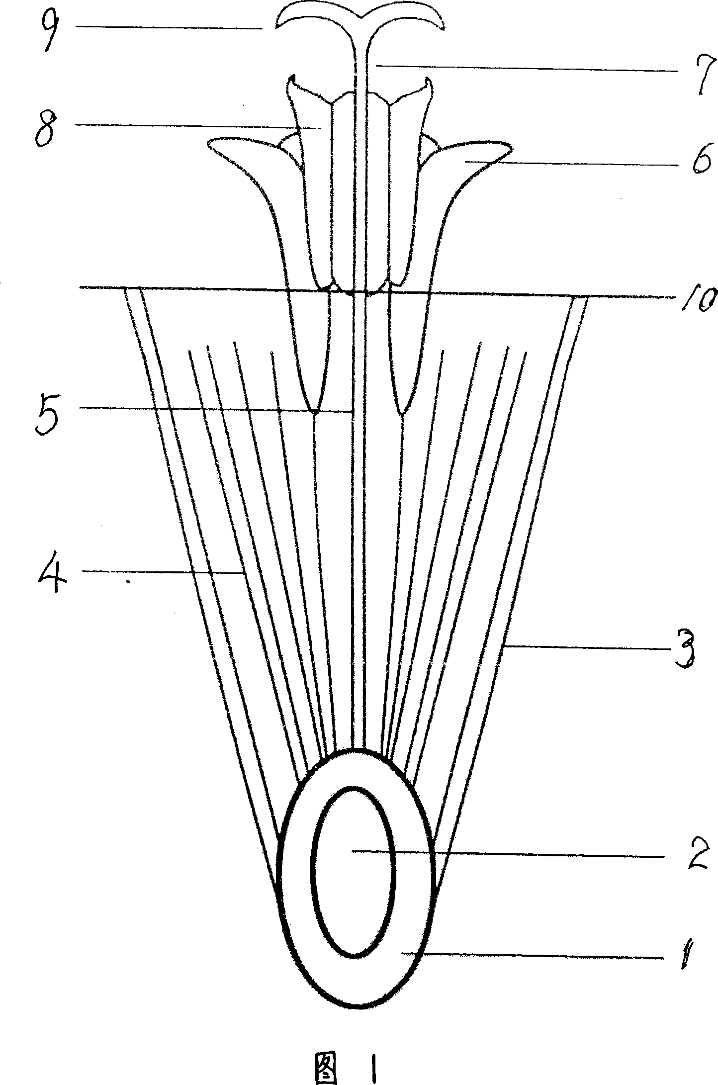 Emasculation method for compositae plants