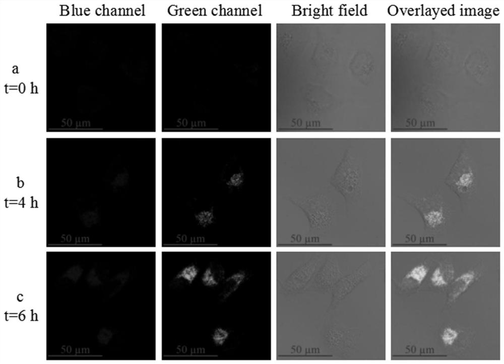 Construction of targeted photodynamic nanoprobes based on upconversion nanoparticles and ultrathin silica layer