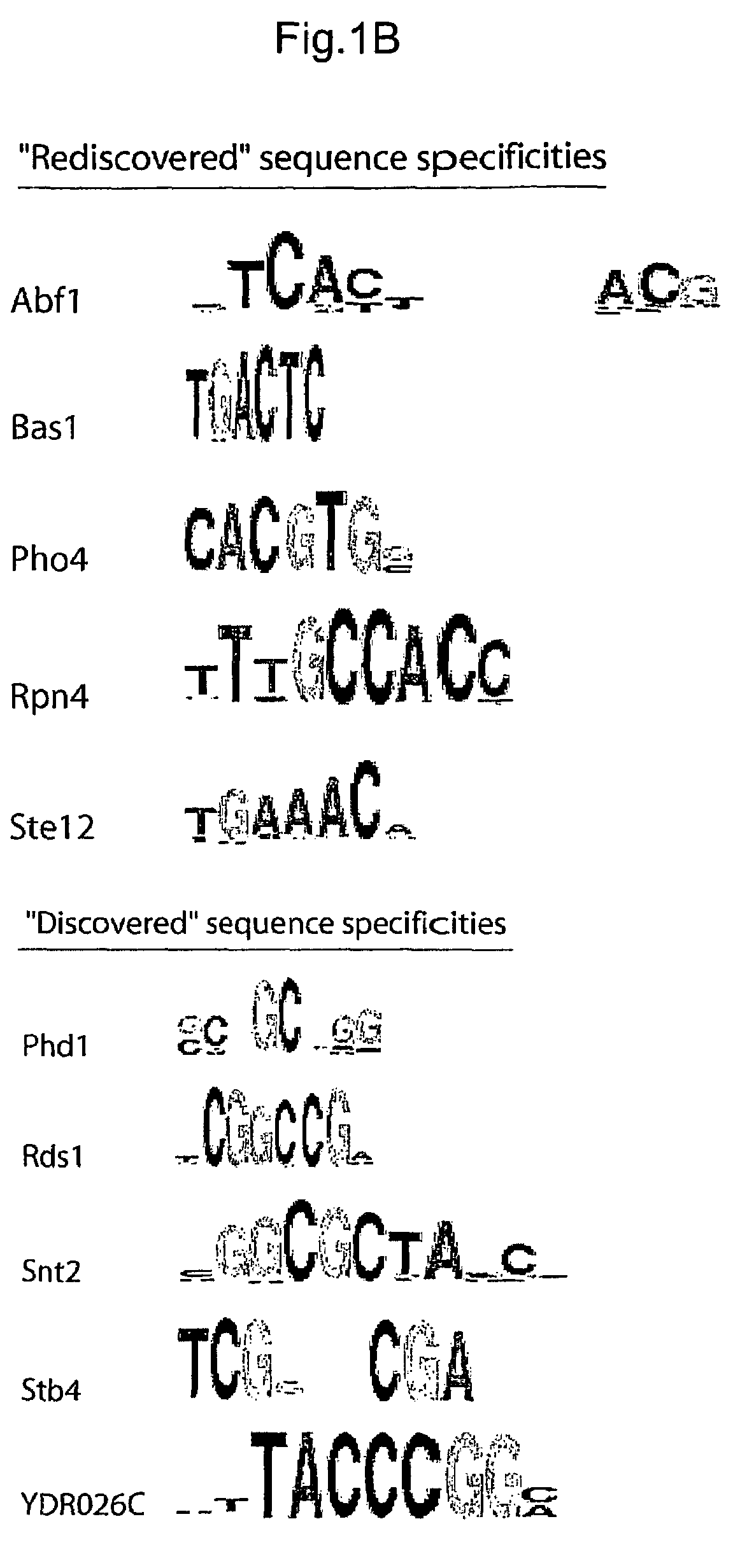 Biologically-active DNA-binding sites and related methods