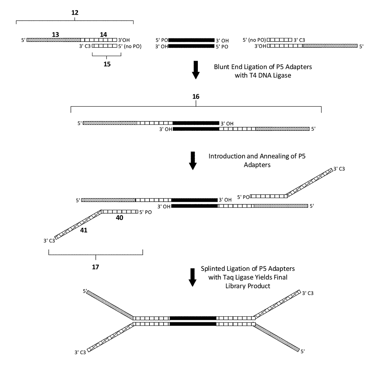 Construction of next generation sequencing (NGS) libraries using competitive strand displacement