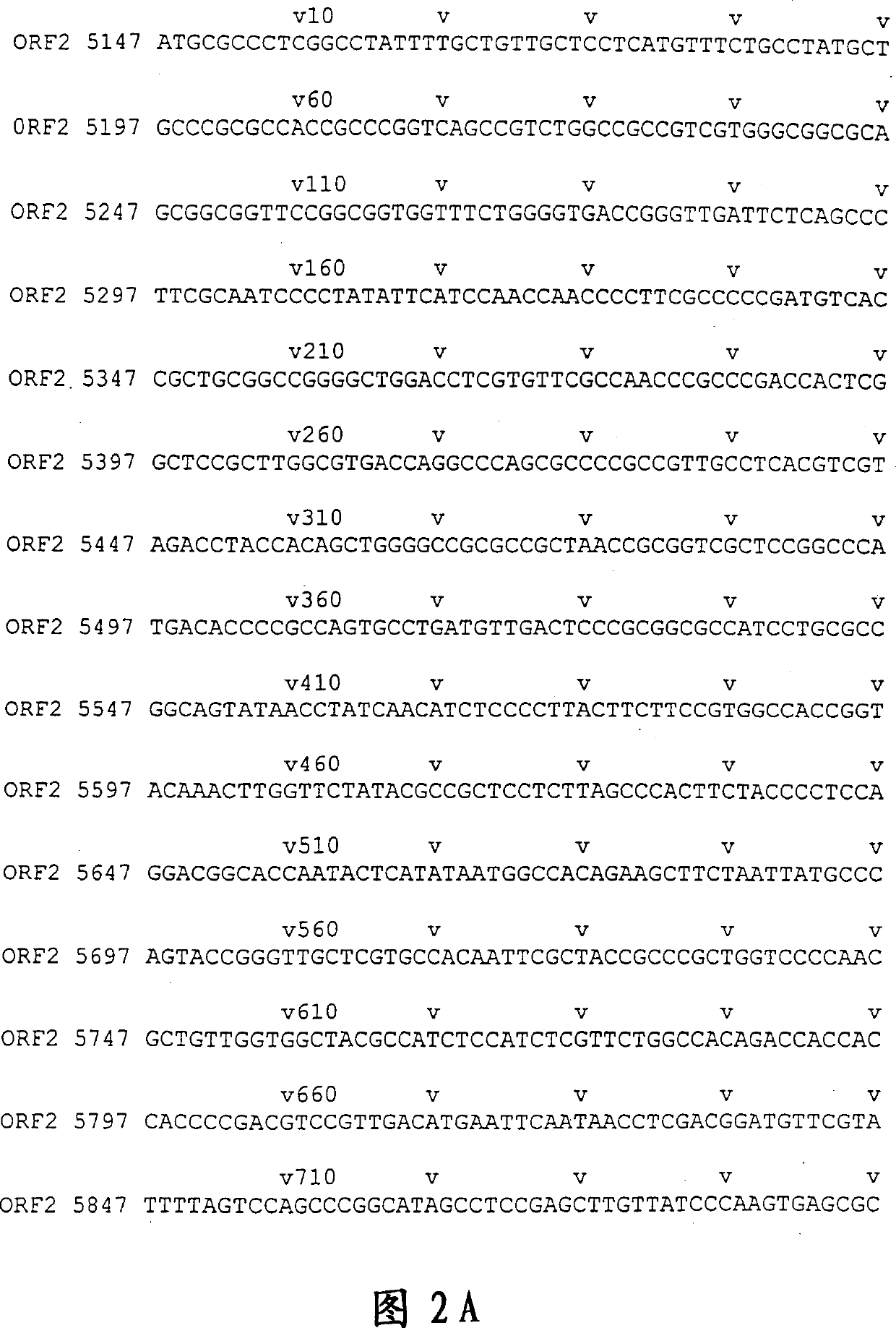 HEV antigenic peptide and its method