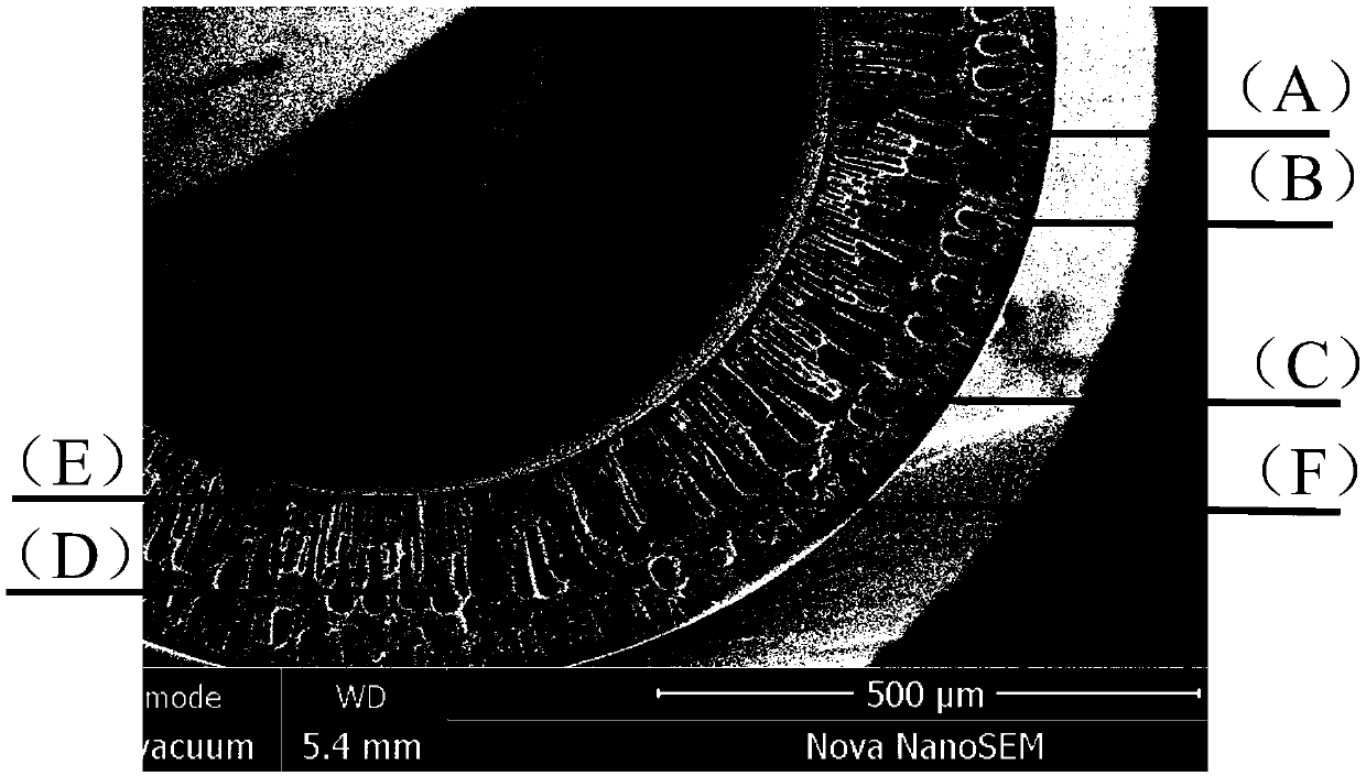 Hollow fiber nanofiltration membrane and preparation process thereof