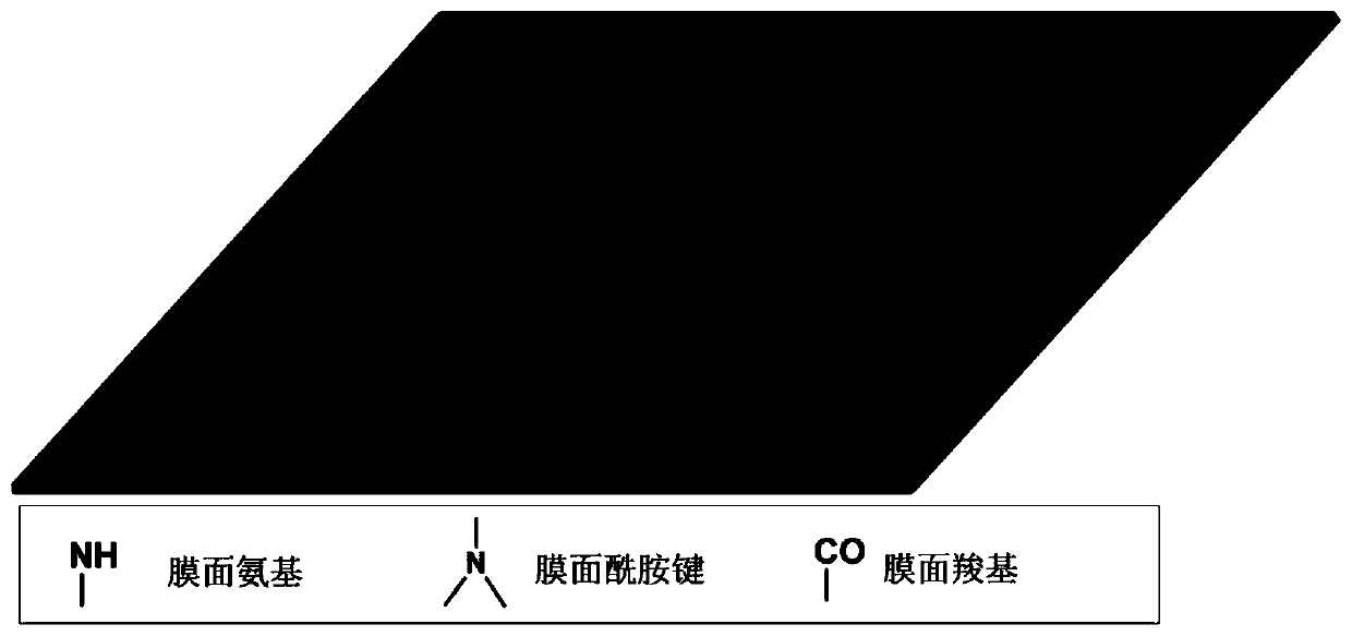 An aromatic polyamide composite reverse osmosis membrane grafted with fluorocarbon materials and aminoglycoside antibiotics and its preparation method