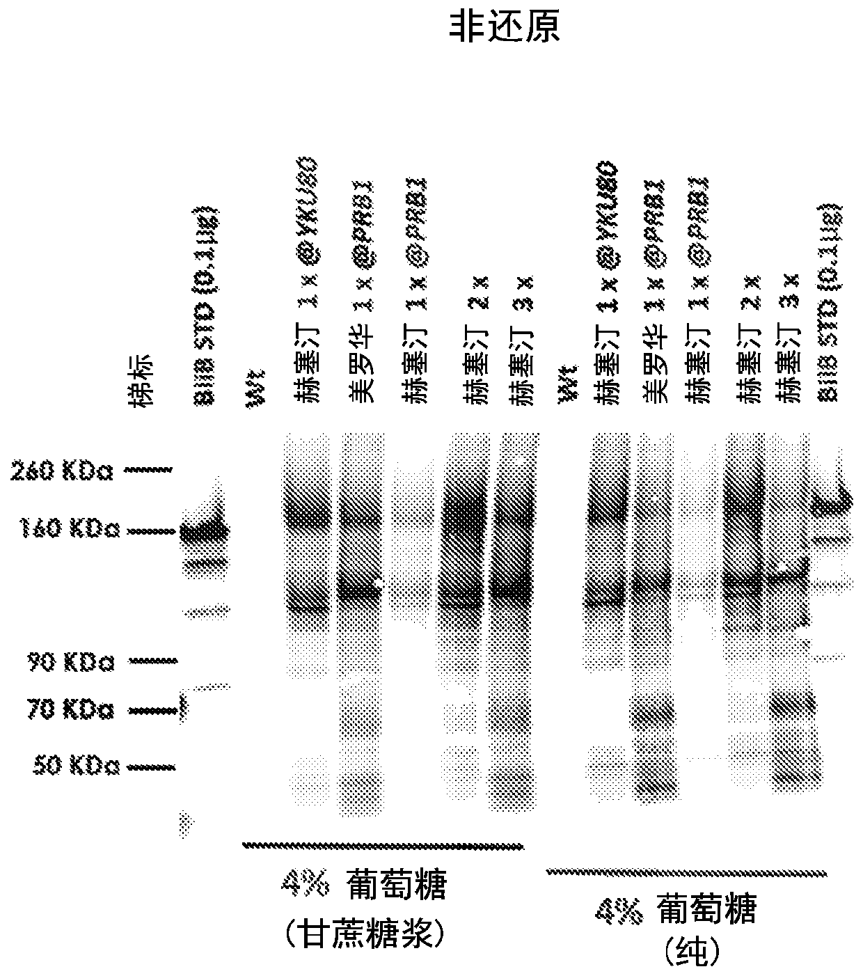 Methods for genetic engineering kluyveromyces host cells