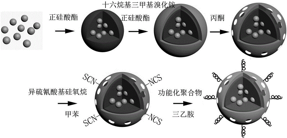 Magnetic shell-core structural nanoparticles and preparation method and application thereof