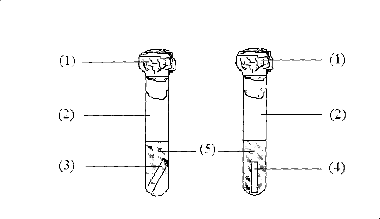 Detecting method for aerogenic bacterium in soy sauce and other condiments