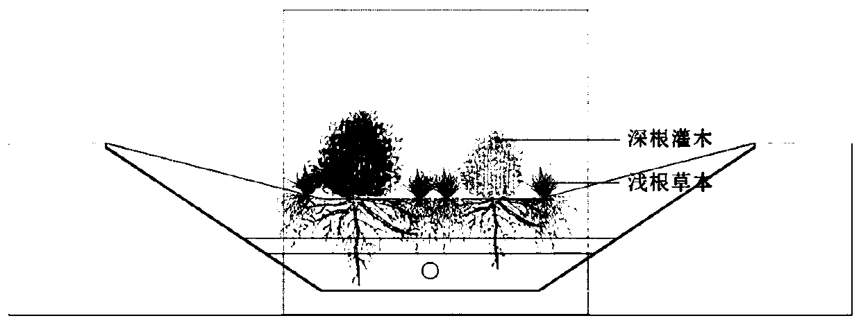 Ground cover plant community construction method applicable to bioretention facility