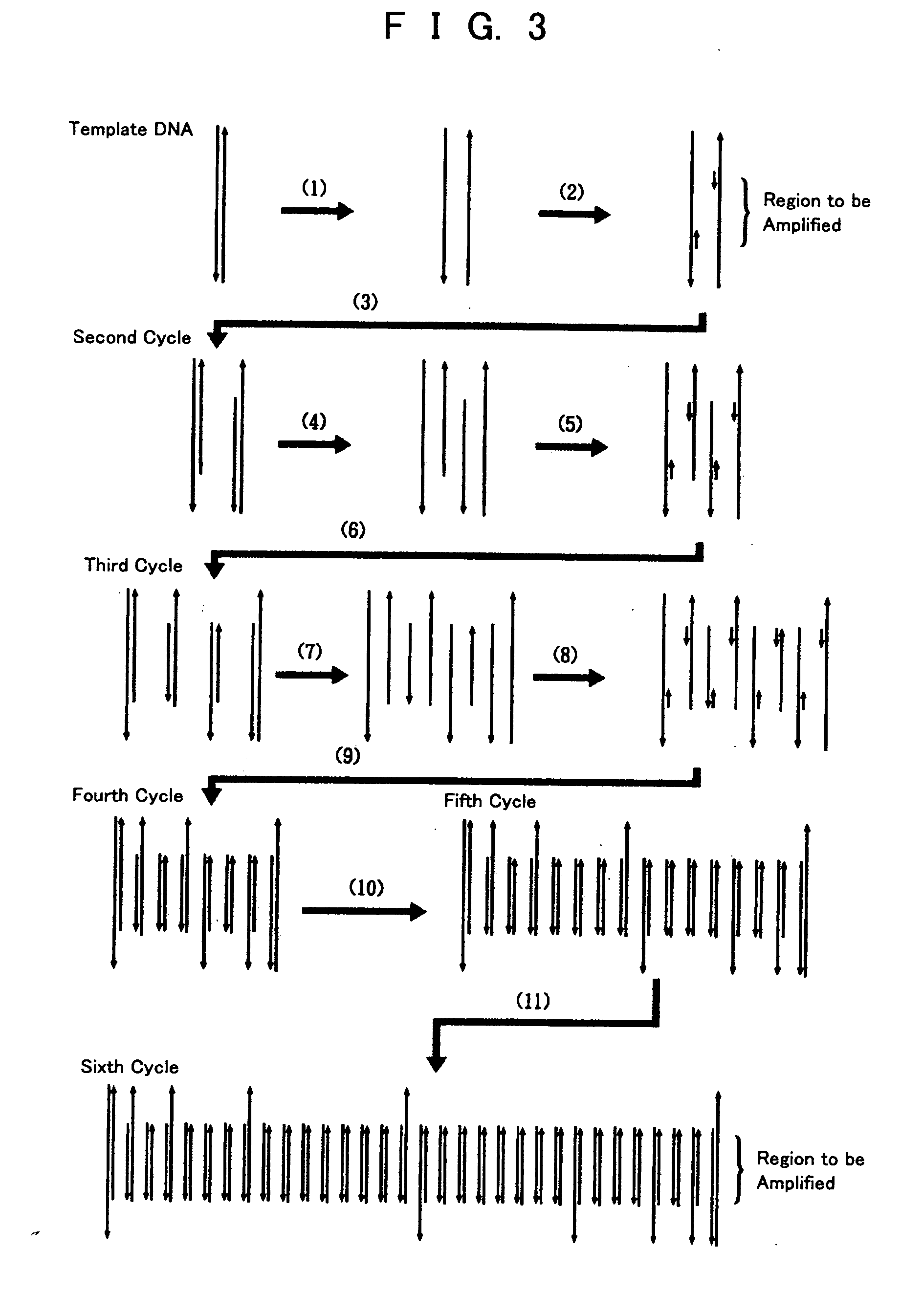 PCR and hybridization methods utilizing electrostatic transportation and devices therefor