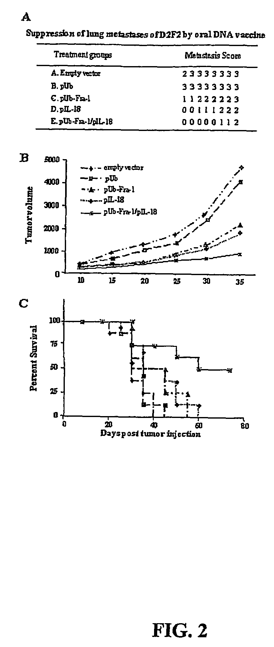 DNA vaccines against tumor growth and methods of use therof