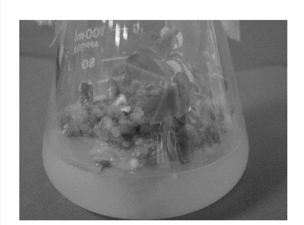 Short-period tissue culture method of peanuts