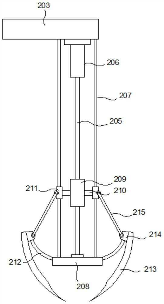 Multifunctional sowing and fertilizing device