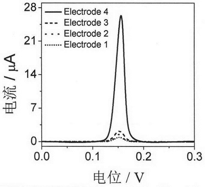 A preparation method and application of an electrochemical biosensor for simultaneous detection of exo I and TdT