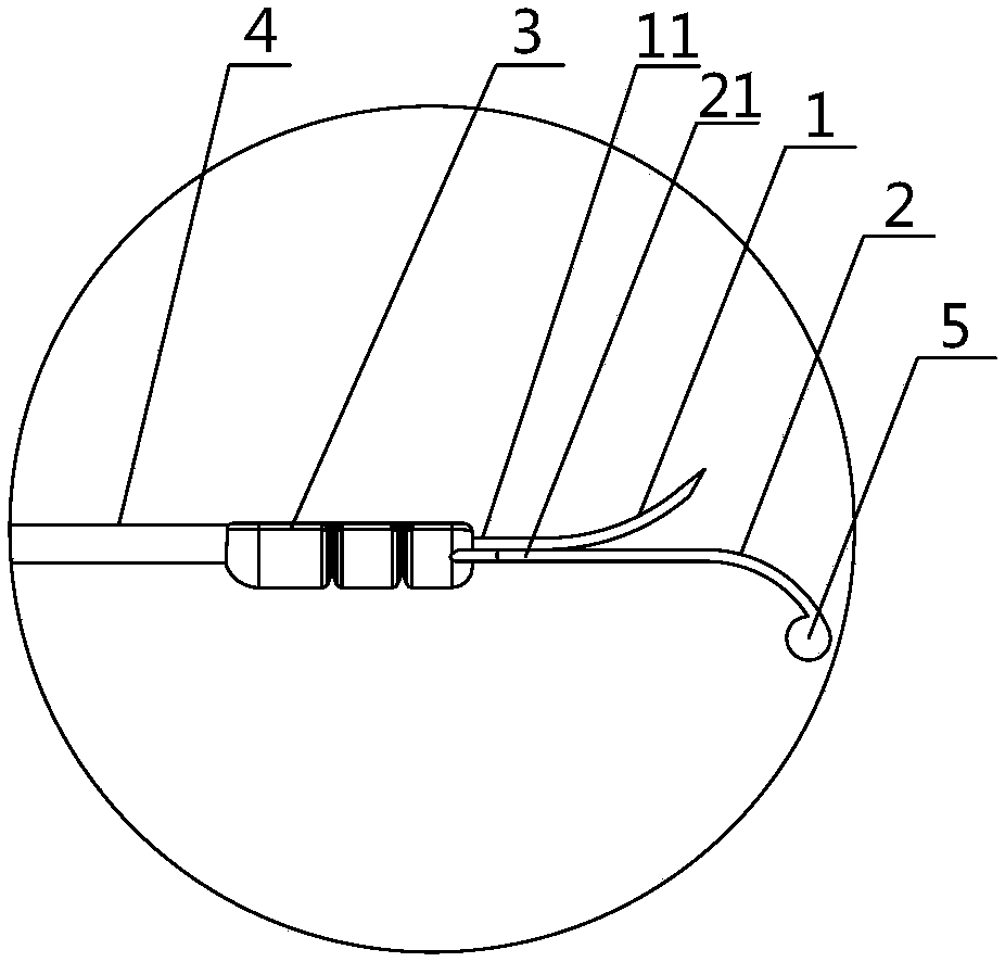 Electrode device for receiving neuromuscular signals