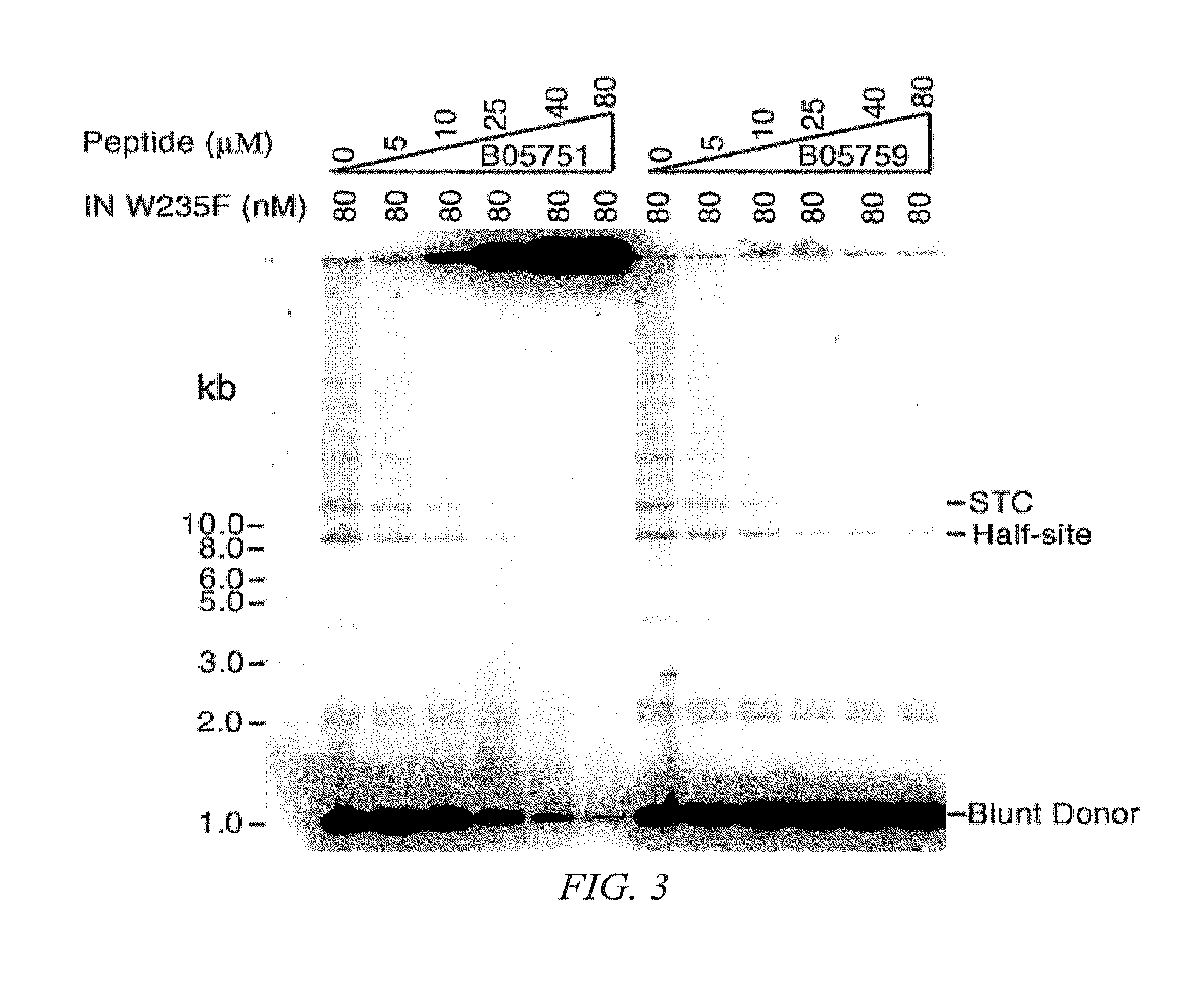 Inhibitors of viral integrase and methods of use