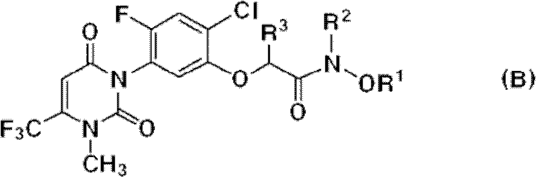 Uracil-based compounds, and herbicides comprising same