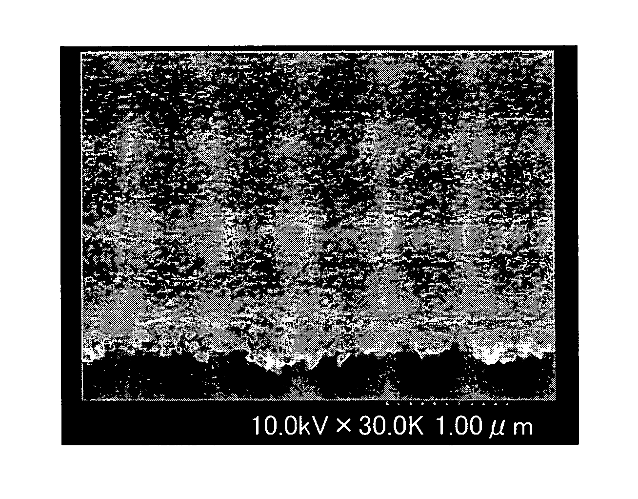 Conductive ink composition, reflective member, circuit substrate, and electronic apparatus