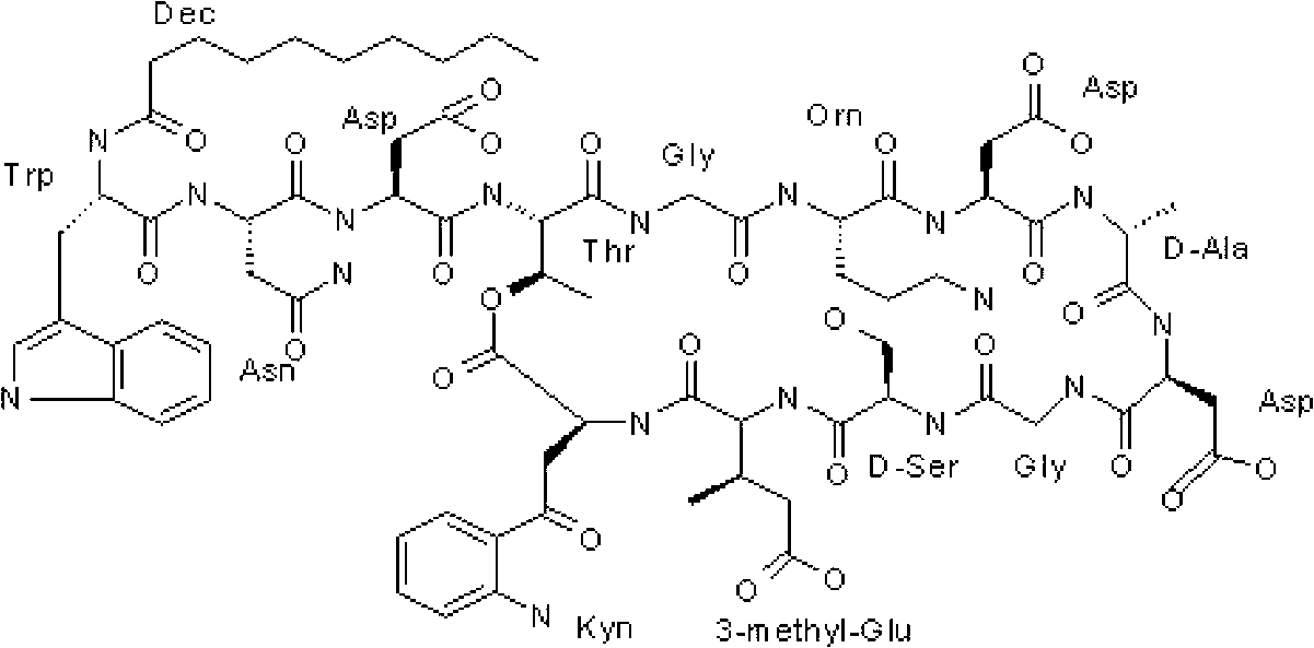 Streptomyces roseosporus and method for producing daptomycin by utilizing combined precursor