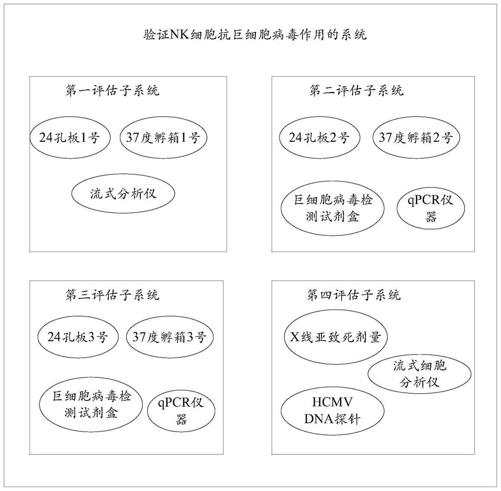 A method for evaluating the effect of NK cells against cytomegalovirus