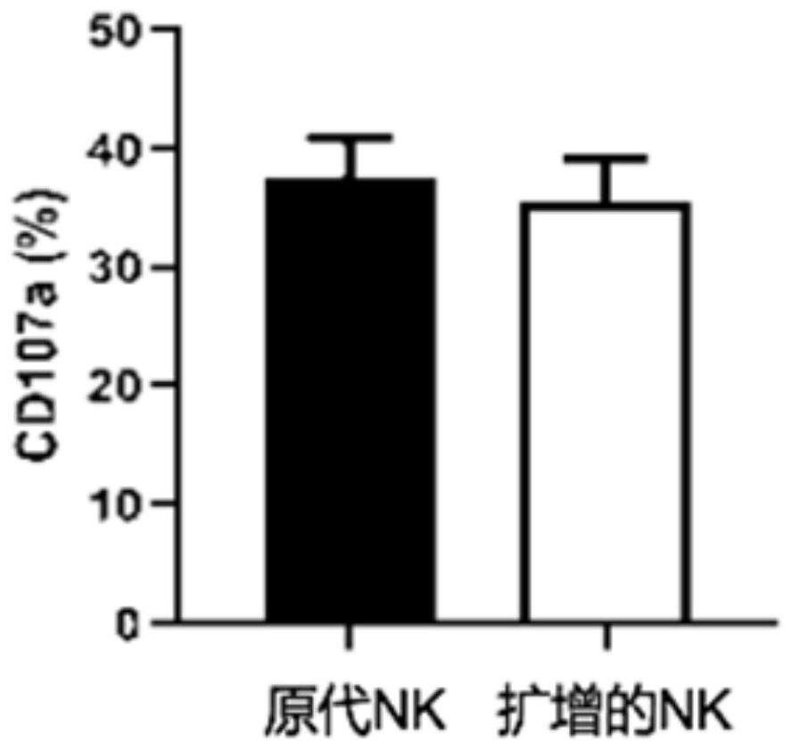 A method for evaluating the effect of NK cells against cytomegalovirus