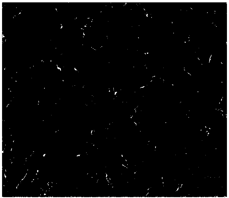 Method for preparing nano-alumina carrier with defect-rich surface