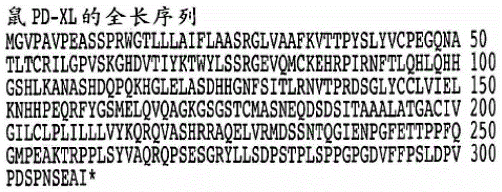 Vista regulatory t cell mediator protein, vista binding agents and uses thereof