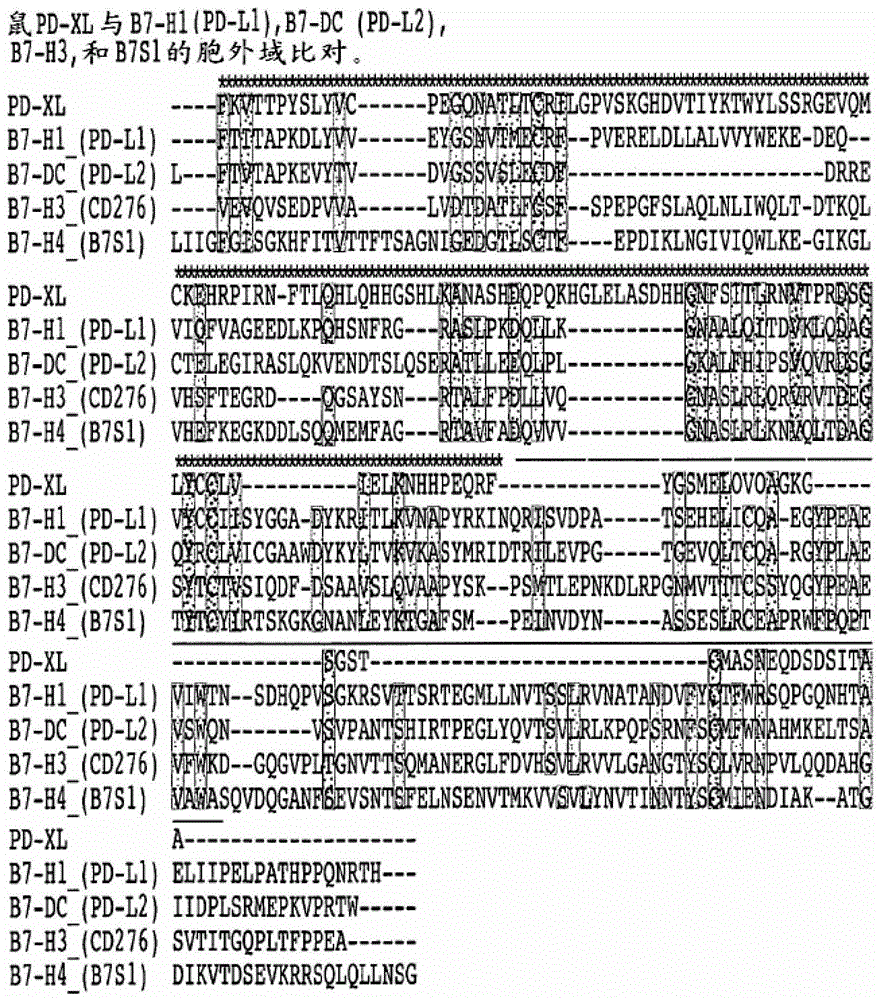 Vista regulatory t cell mediator protein, vista binding agents and uses thereof