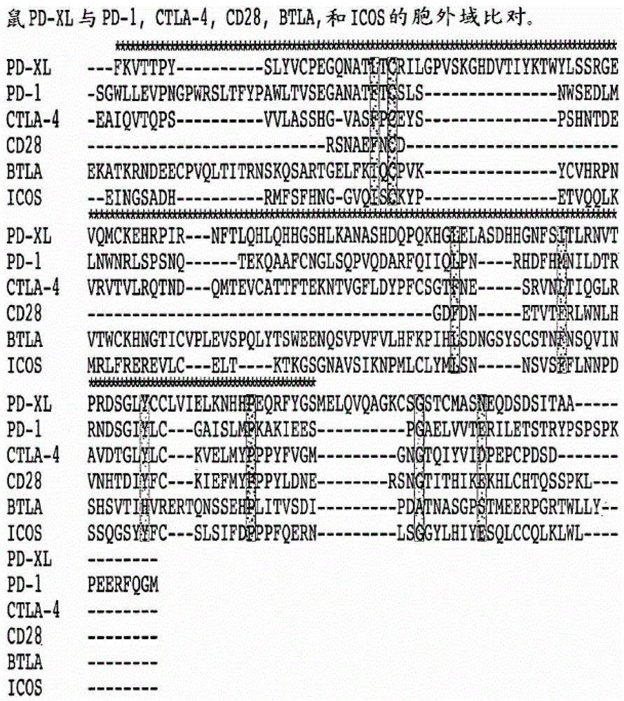 Vista regulatory t cell mediator protein, vista binding agents and uses thereof