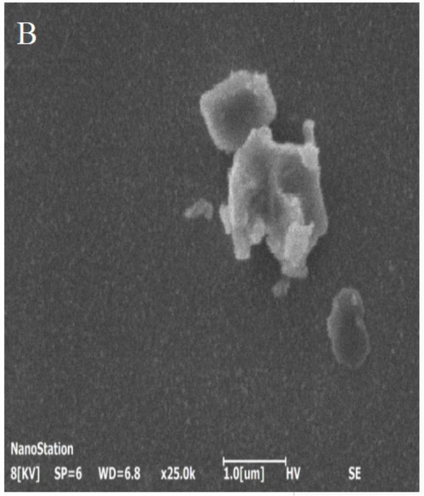 Preparation method of germanium selenide nano material and application of germanium selenide nano material