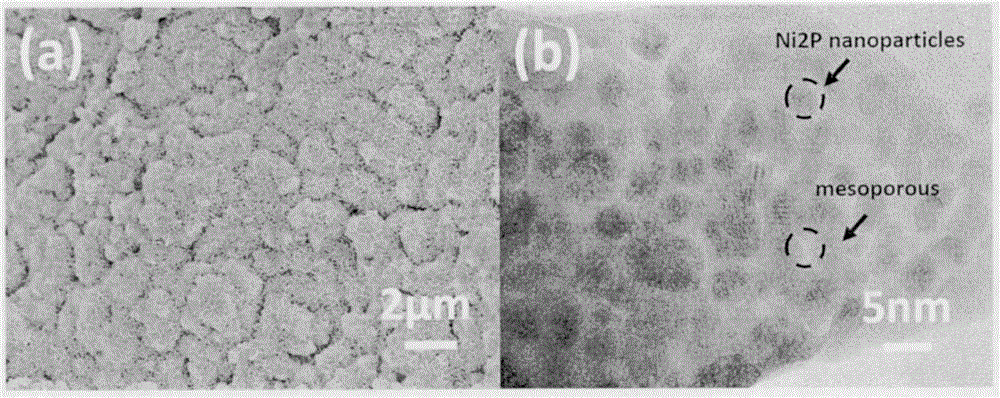 Self-supporting phosphating nickel nanomaterial for hydrogen production with electrocatalytic decomposition of water and preparation method of self-supporting phosphating nickel nanomaterial