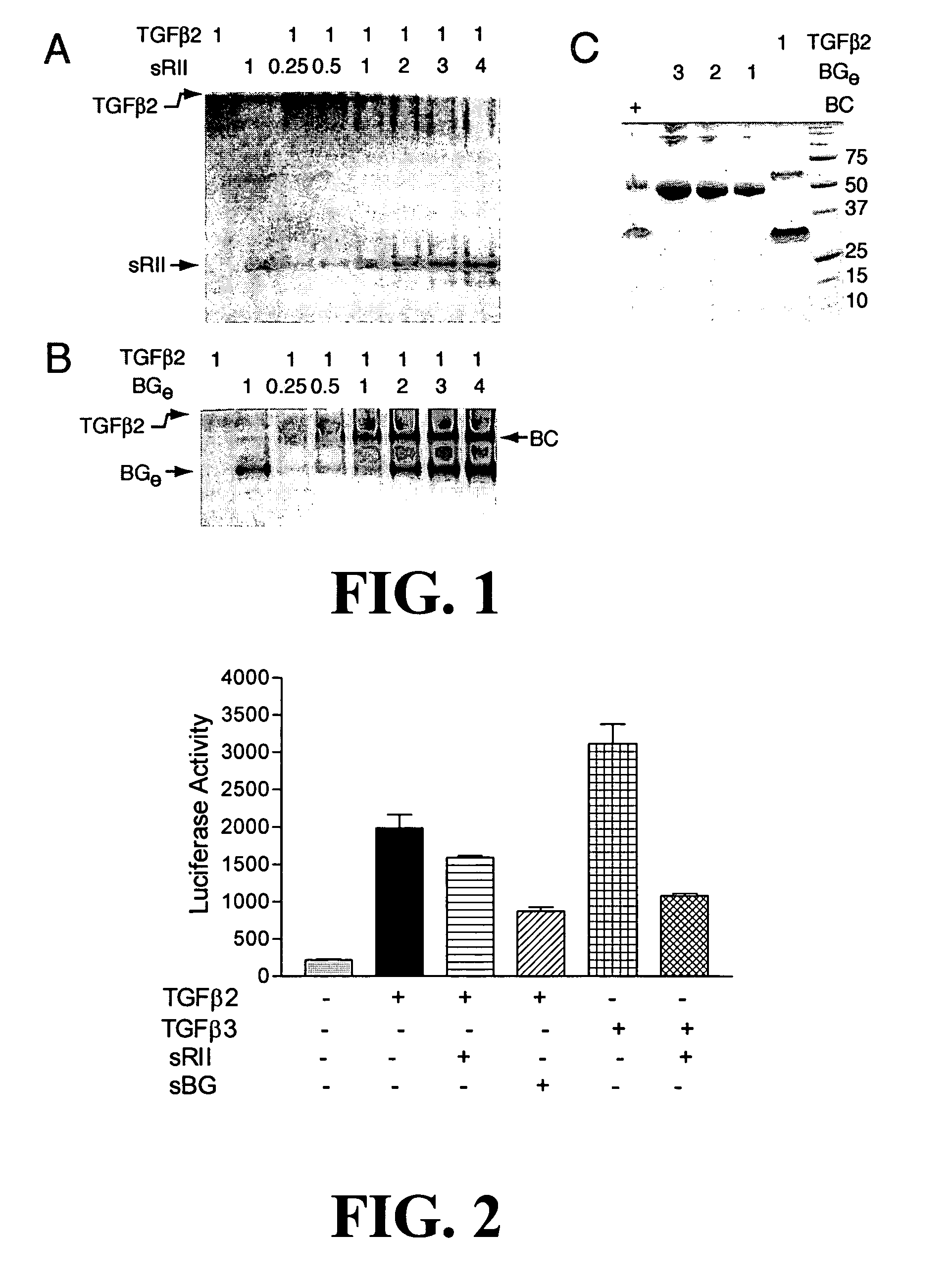 Antagonizing TGF-beta activity with various ectodomains TGF-beta receptors used in combination or as fusion proteins