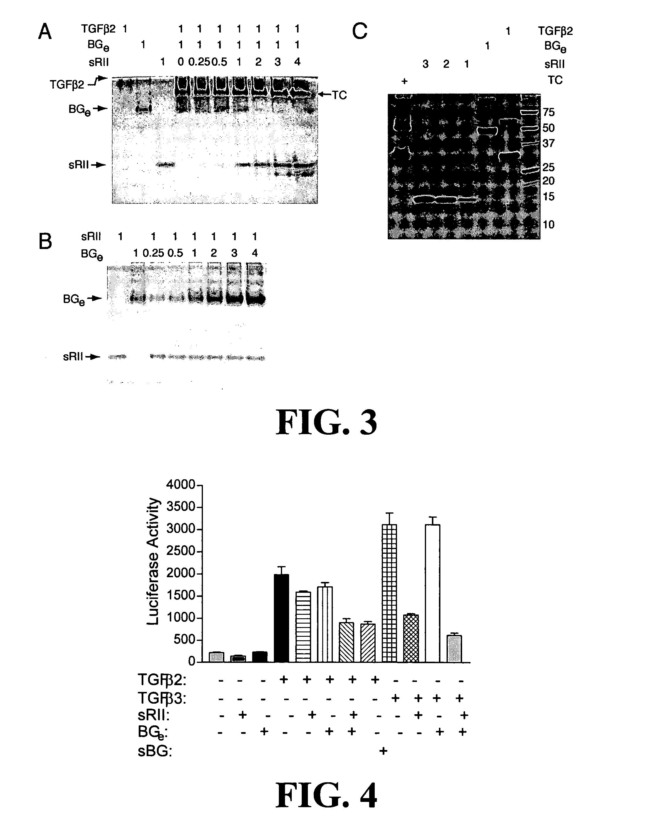 Antagonizing TGF-beta activity with various ectodomains TGF-beta receptors used in combination or as fusion proteins