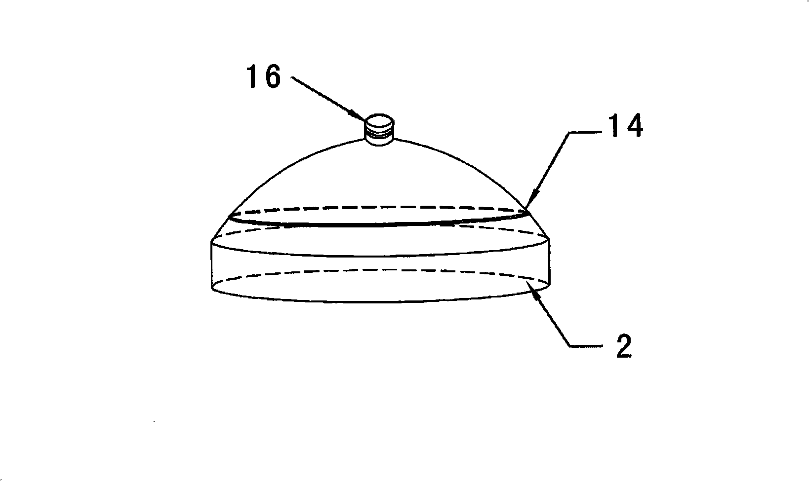 Plant volatile oil extractor and application thereof