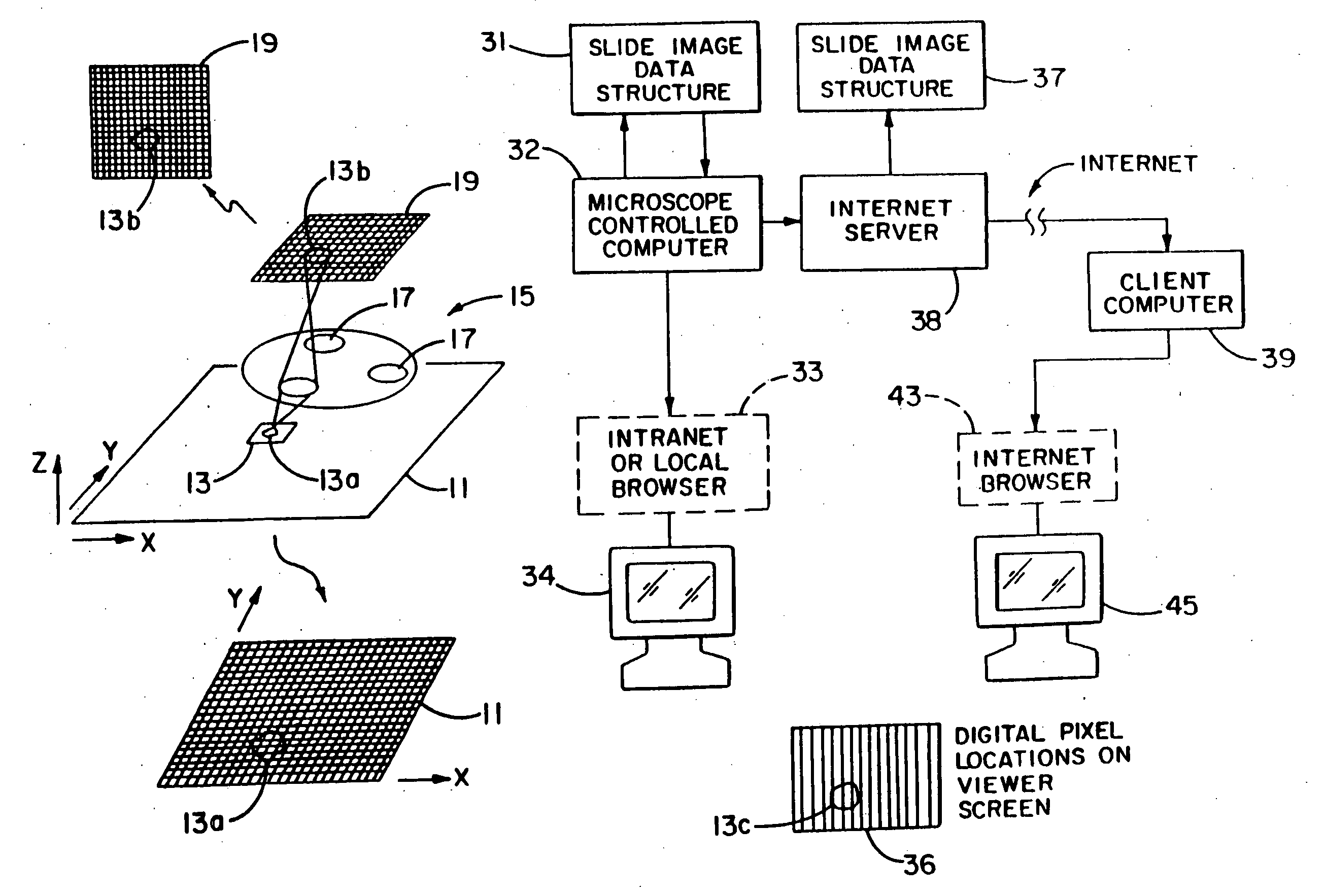 Method and apparatus for Internet, intranet, and local viewing of virtual microscope slides
