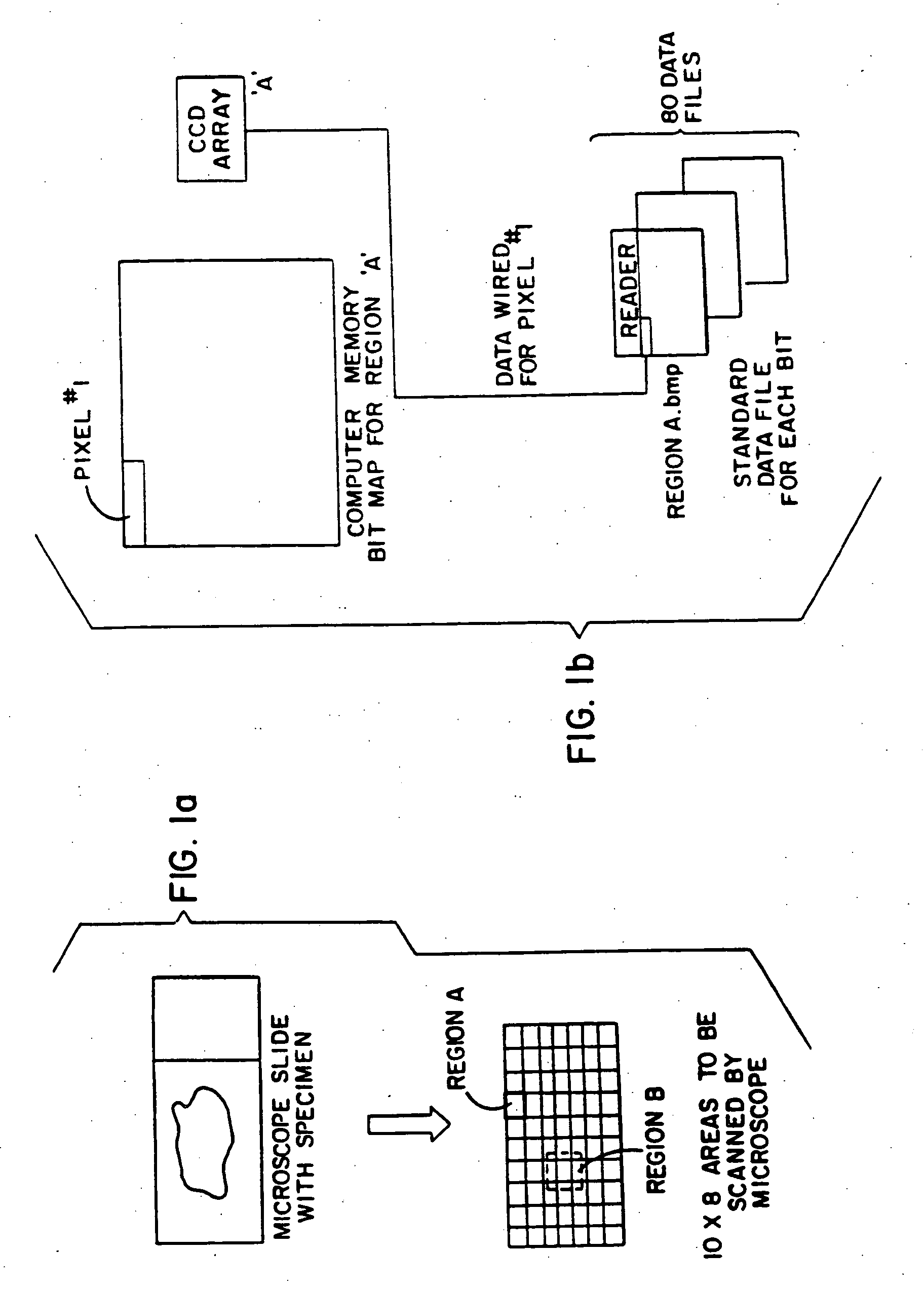 Method and apparatus for Internet, intranet, and local viewing of virtual microscope slides