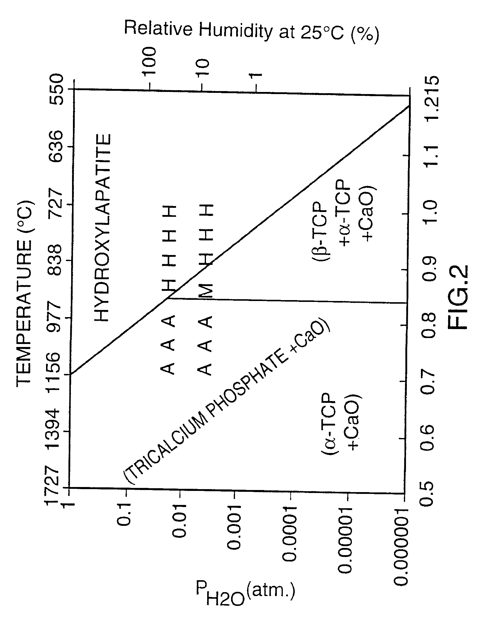 Artificial stabilized composition of calcium phosphate phases particularly adapted for supporting bone cell activity