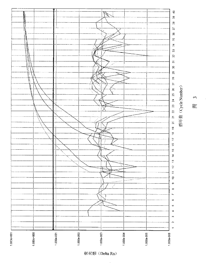 Method for detecting areca-nut yellow leaf disease phytoplasma pathogen and special reagent kit therefor