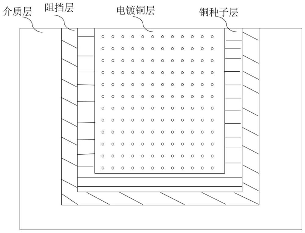 TSV-combined electroplating pretreatment process method