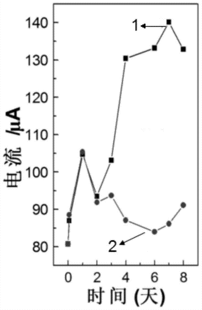 Electrochemical detection method for gene mutation of ribosyltransferase