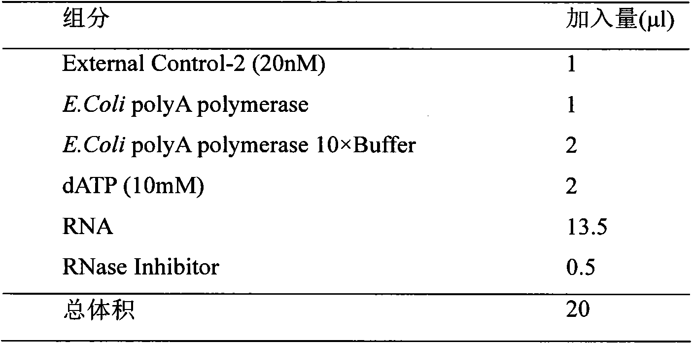 Cirrhosis microRNA molecular marker composition and application thereof