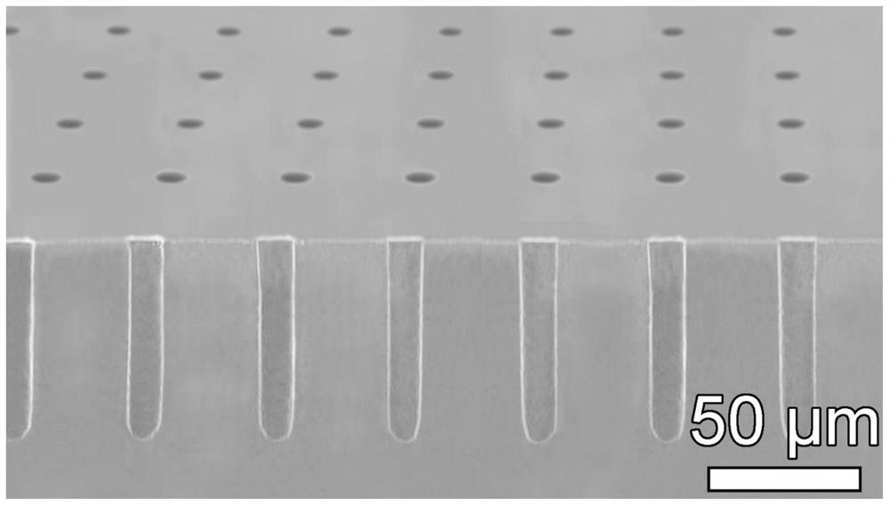 A kind of preparation method of reprogrammable driving microcolumn array