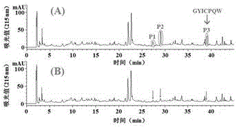 Method for quickly preparing dasyatis akajei cartilage polypeptide angiogenesis inhibitor